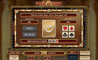 Book of Dead Slot Risikospiel